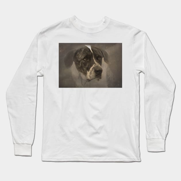 Sepia Great Dane Long Sleeve T-Shirt by Furtographic